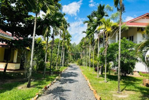 Beautiful Land For Sale in Kampot River Bank - Access road