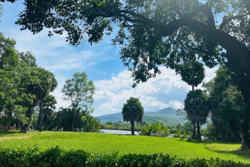 Beautiful Land For Sale in Kampot River Bank Grass