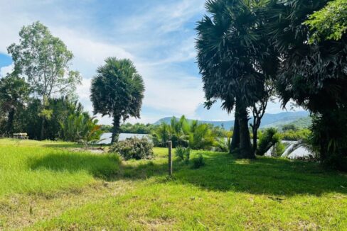 Beautiful Land For Sale in Kampot River Bank Palm