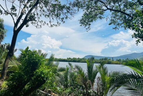 Beautiful Land For Sale in Kampot River Bank - River Bank