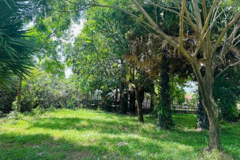 Beautiful Land For Sale in Kampot River Bank - Tree Palm