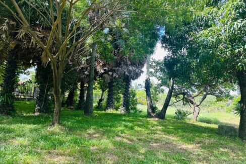 Beautiful Land For Sale in Kampot River Bank green area
