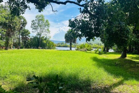 Beautiful Land For Sale in Kampot River Bank lush