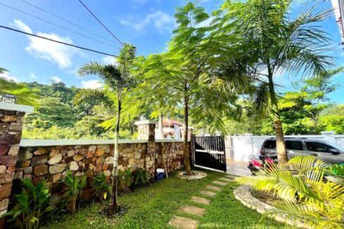 Kep Villa for sale in the Hills - Kep National Forest - plant