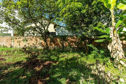 Land For Sale - Svay Dangkum, Siem Reap - Bannana Plant