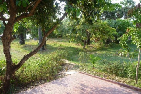 Potential Land & Resort for sale Kampot River Bank - tree