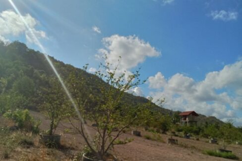 10 Hectares land for sale in Romleach Lake, Kampot Cambodia nature Tree