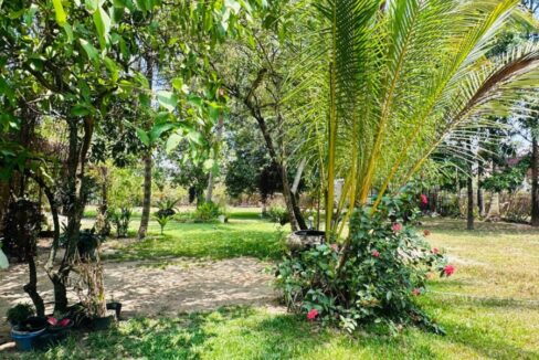 Charming Riverside Cottage House For Sale in Kampot, Cambodia Garden