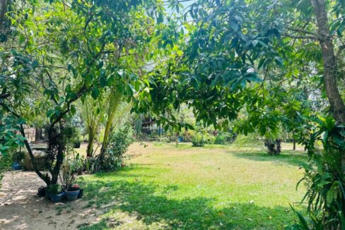 Charming Riverside Cottage House For Sale in Kampot, Cambodia Garden Mango
