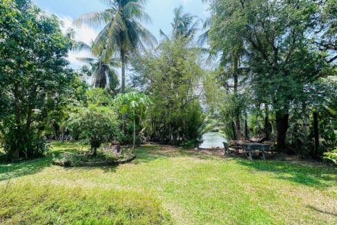 Charming Riverside Cottage House For Sale in Kampot, Cambodia Garden Tree