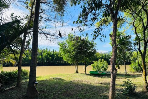 Modern European-Style Villa for Sale on Kampot Riverbank coconut tree