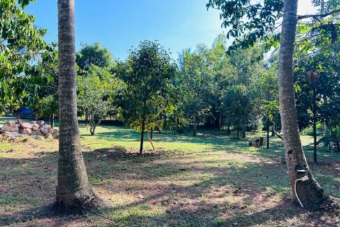 Modern European-Style Villa for Sale on Kampot Riverbank garden