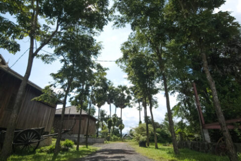 Resort For Sale in Kampot, Cambodia nature