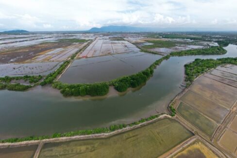 Affordable riverfront land for sale in Kampot - Riverside