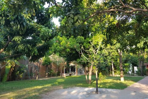 Luxury Villa & Land For Sale along Mekong River in Chroy Changvar - Tree Nature