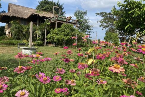 The Secret Garden Kep for Sale Now Flower