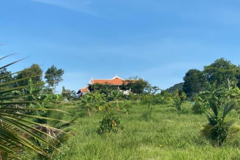 The Secret Garden Kep for Sale Now - Green Garden