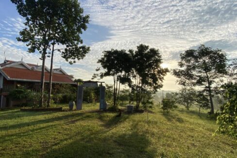 The Secret Garden Kep for Sale Now Nature Tree