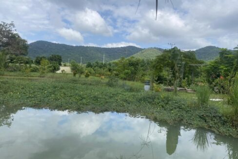 The Secret Garden Kep for Sale Now Pond