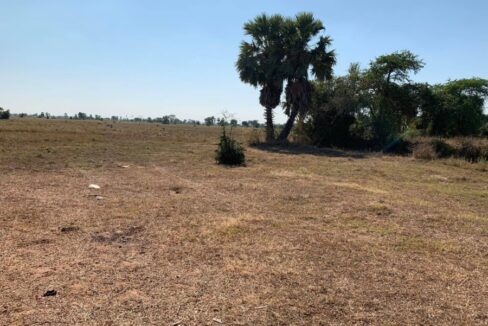 potential land for sale near new airport in Siem Reap - 10000sqm
