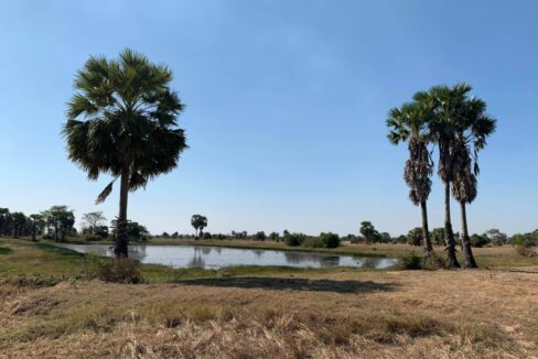 potential land for sale near new airport in Siem Reap - 200m road