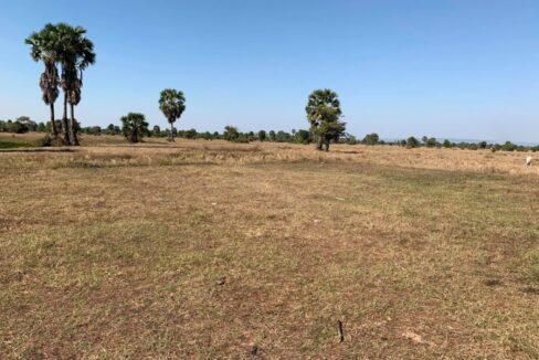 potential land for sale near new airport in Siem Reap
