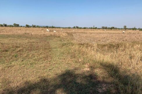 potential land for sale near new airport in Siem Reap - Good opportunity