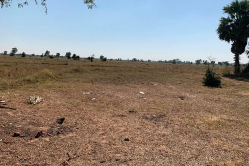 potential land for sale near new airport in Siem Reap province