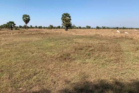 potential land for sale near new airport - rappily fast