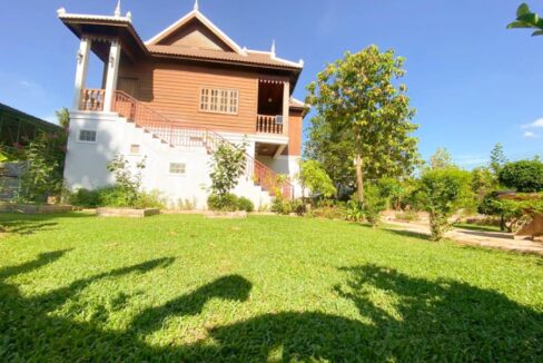 Luxury wooden 3 bedroom house for rent in Siem Reap Greenery