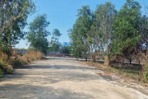 Land for Sale in SihanoukVille Tree
