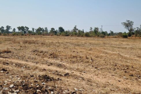 Land for sale in Siem Reap near Angkor International Airport (SAI) Land Siem Reap
