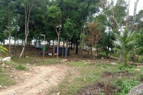 Beachfront land in Koh Rong Sanloem