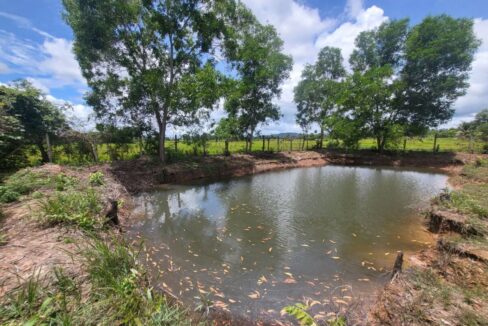 Land for sale in Dang Tong Kampot - Pond Water