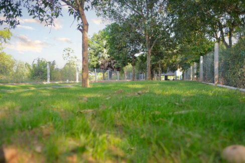 Prime Koh Dach Land for Sale