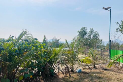 Invetment land in Kampot