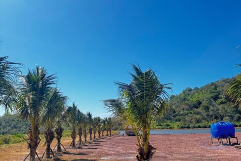 Kampot Prime Land for Sale – Kampot’s Hidden Gem