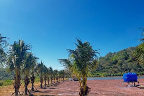 Prime Land for Sale – Kampot’s Hidden Gem