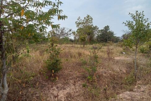 1600SQM Land for Sale in Kep – Prime Location Near Independence Monument