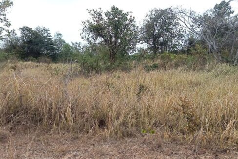 1600SQM Land for Sale in Kep – Prime Location Near Independence Monument 84sqm