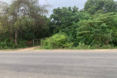 Investment Opportunity 328 ha Land for Sale in Samrong Tong, Kampong Speu $11sqm