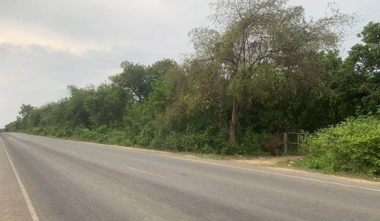 Investment Opportunity 328 ha Land for Sale in Samrong Tong, Kampong Speu $11sqm Investment Land