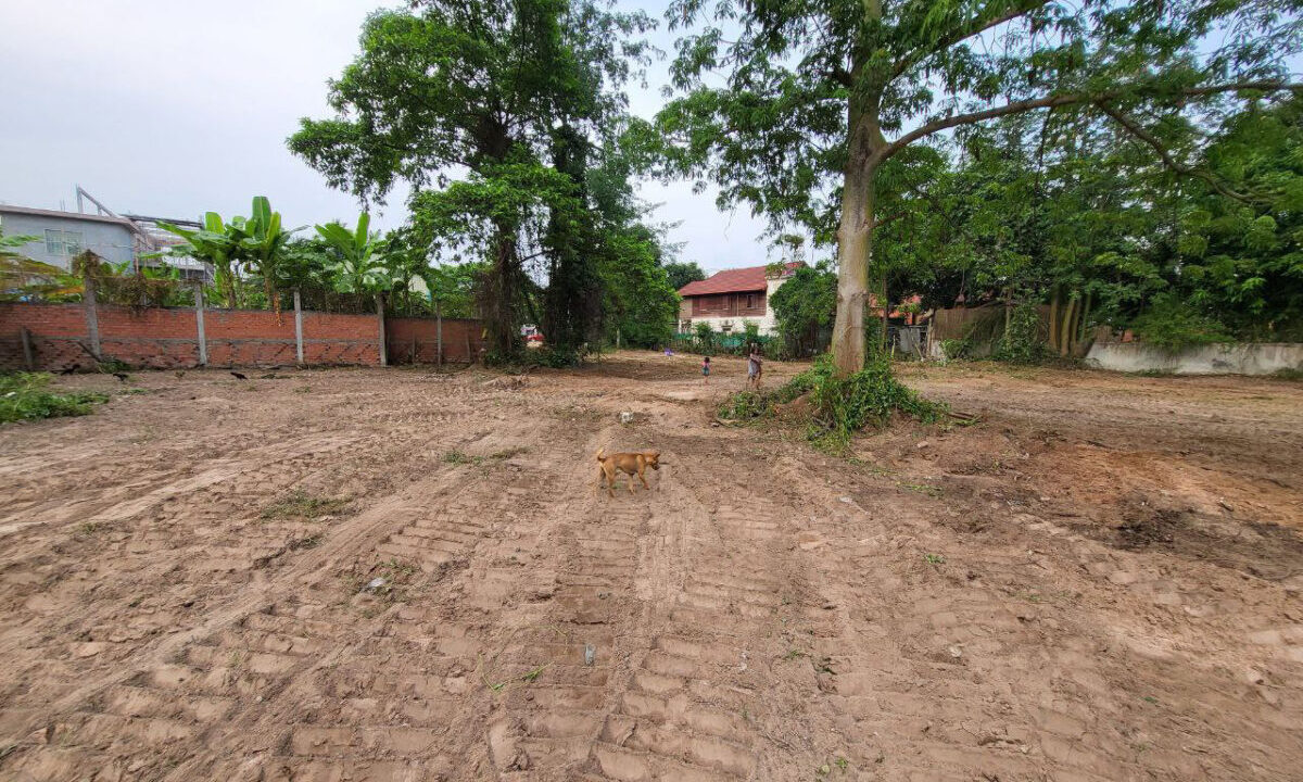 Land for Sale in Sala Kamreuk Siem Reap Residential Commercial