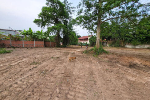 Land for Sale in Sala Kamreuk Siem Reap Residential Commercial
