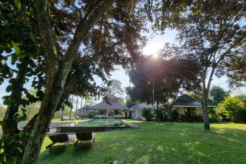 Luxury Riverside Villa in Kampot – 5 En-Suite Rooms, Infinity Pool & Garden Views Ample tree