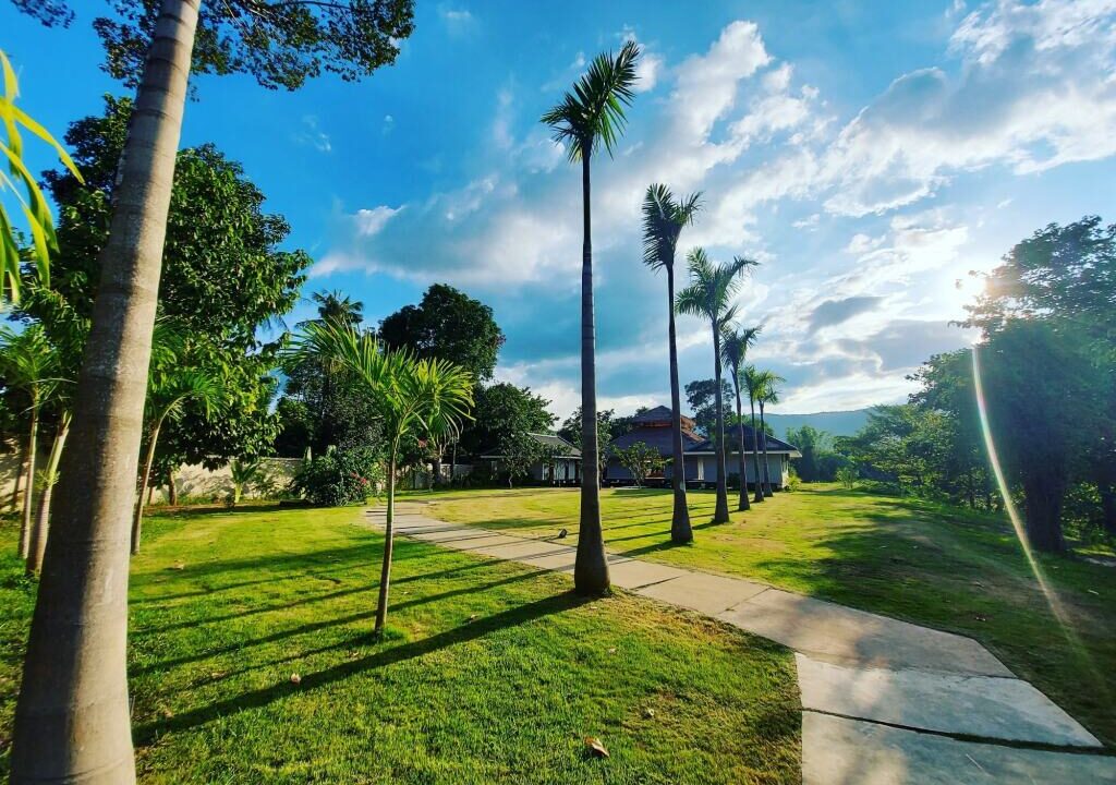 Luxury Riverside Villa in Kampot – 5 En-Suite Rooms, Infinity Pool & Garden Views Greenery