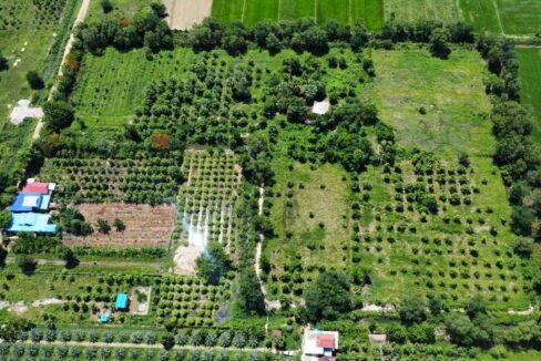 Land for Sale in Preak Doung, Kandal – 40,000m² Near Ring Road 3 opportunity