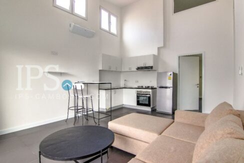 2 Bedroom Renovated Apartment for Rent - Daun Penh