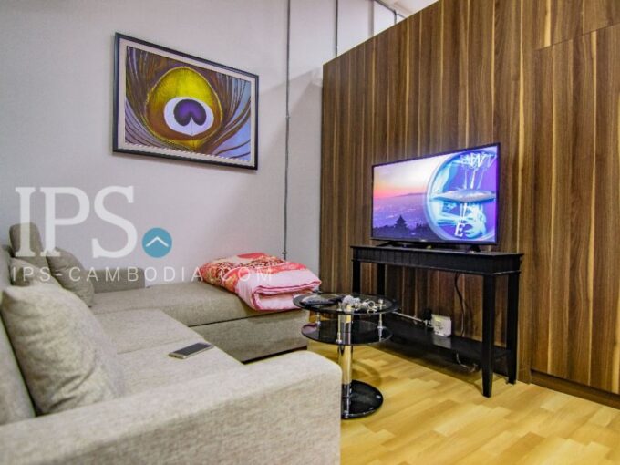 Daun Penh Studio Flat For Rent