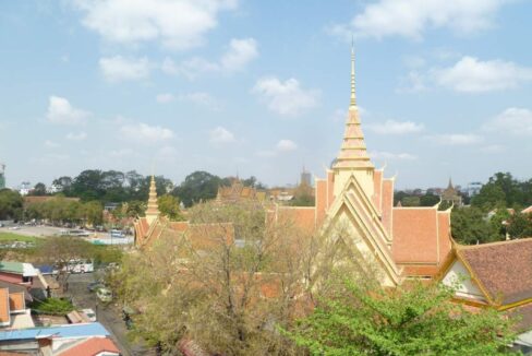 Studio Apartment in Daun Penh for rent